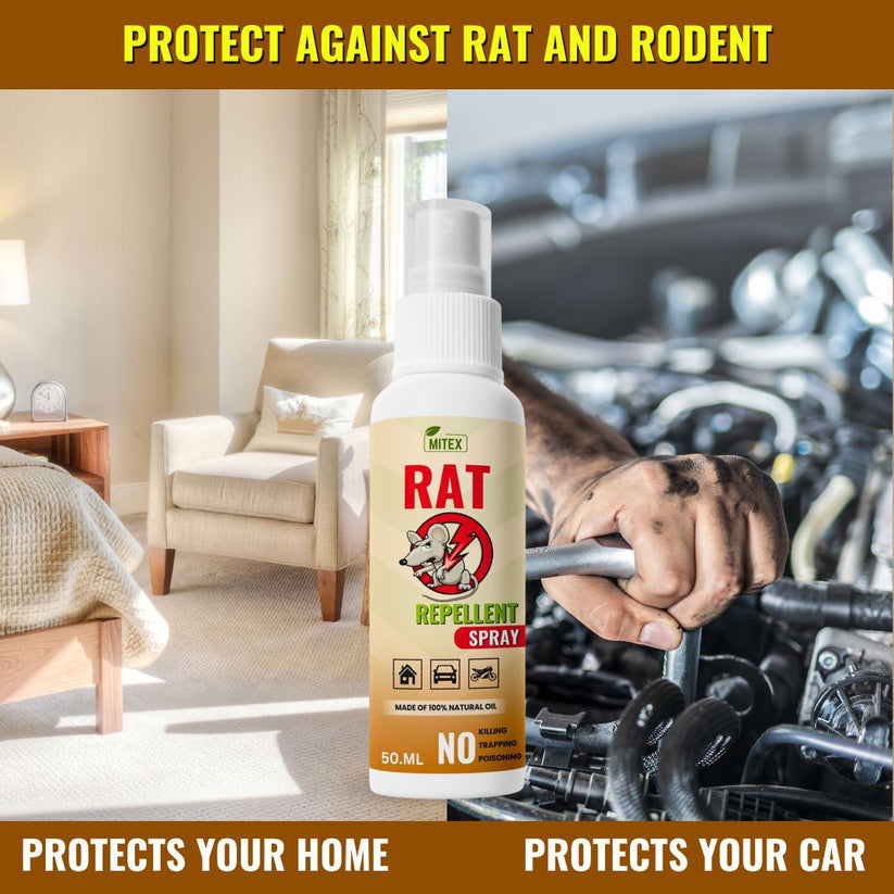 Rat Repellent Spray – Safe, Effective, and Eco-friendly. | 𝐁𝐮𝐲 𝟏 𝐆𝐞𝐭 𝟐 𝐅𝐫𝐞𝐞