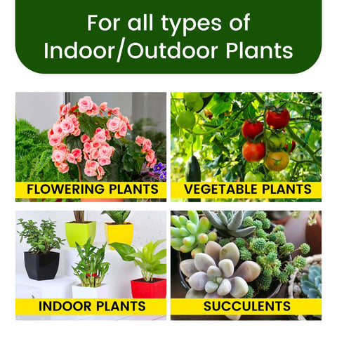 Plant Food Sticks - Organic Indoor Plant Nutrition