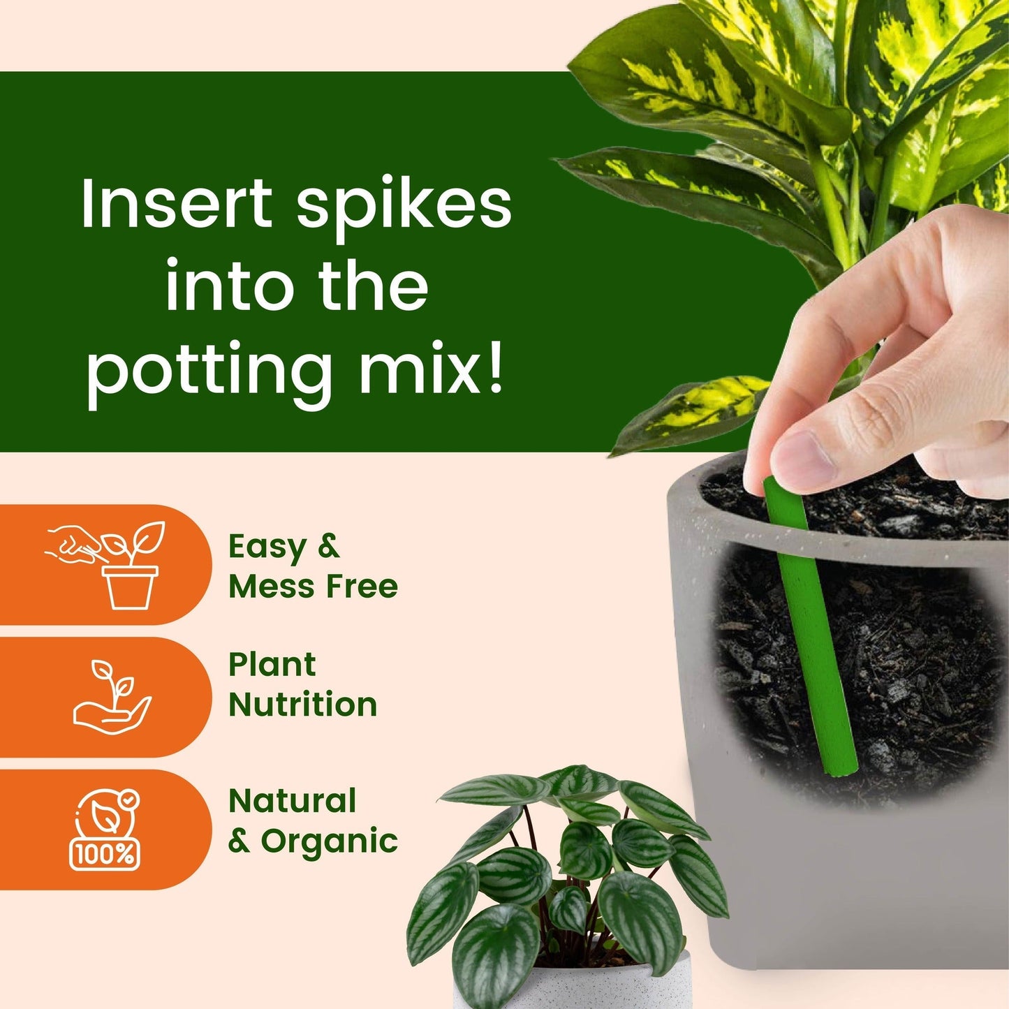 Plant Food Sticks - Organic Indoor Plant Nutrition