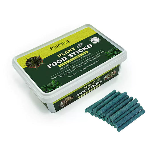 Plant Food Sticks - Organic Indoor Plant Nutrition